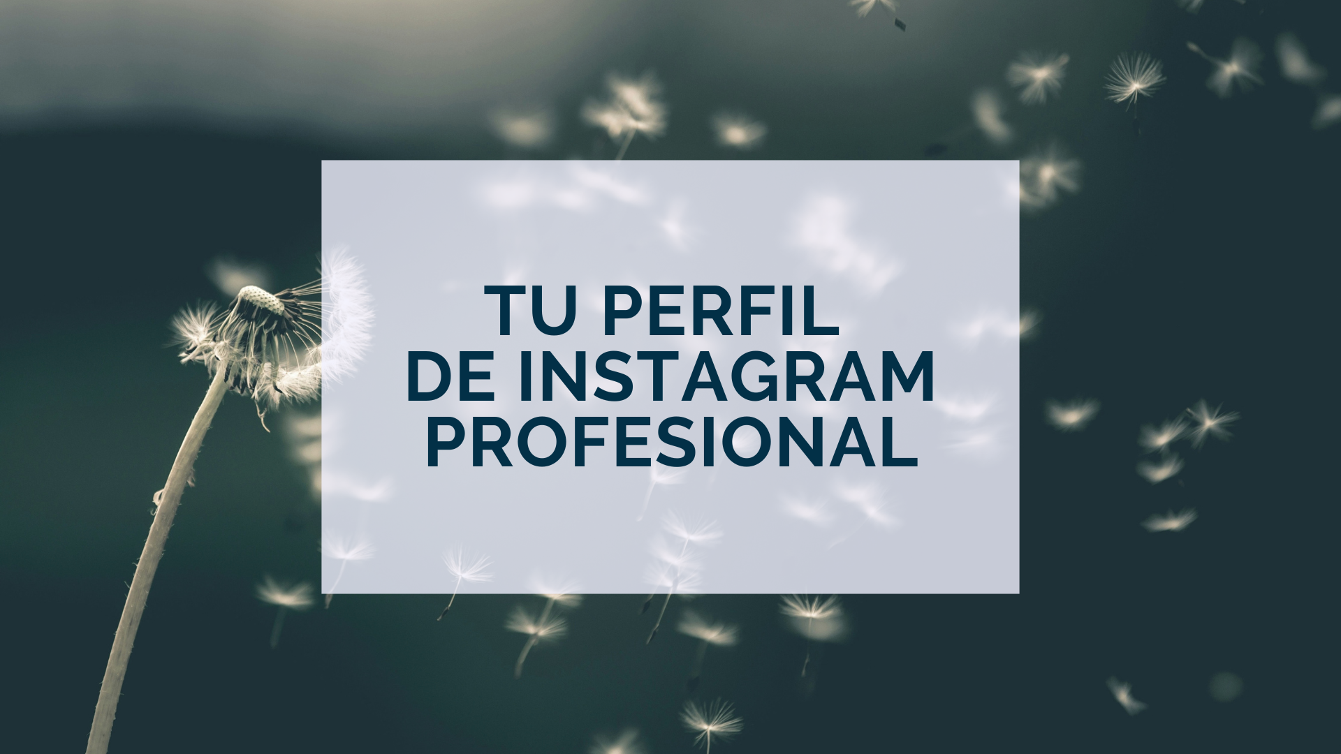 Protegido: TU PERFIL DE INSTAGRAM PROFESIONAL